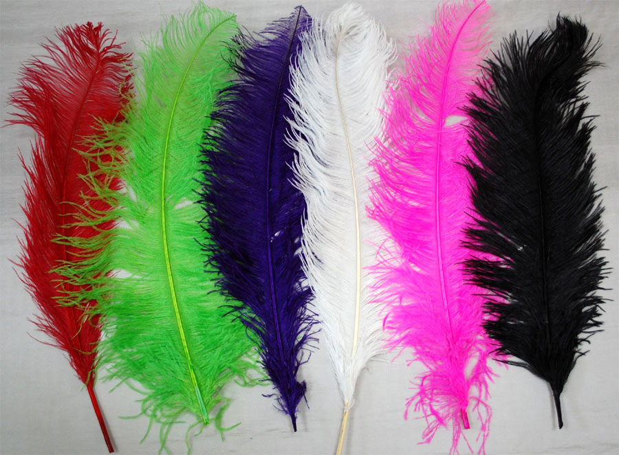 OSTRICH FEATHER:LARGE;5PC/BAG (MCN008L) 1 OSTRICH FEATHER:LARGE;5PC/BAG (MCN008L)
