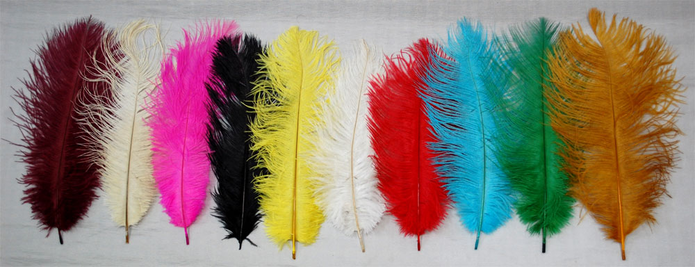 OSTRICH FEATHER:25PCS/BDL (MCN008/25) 1 OSTRICH FEATHER:25PCS/BDL (MCN008/25)