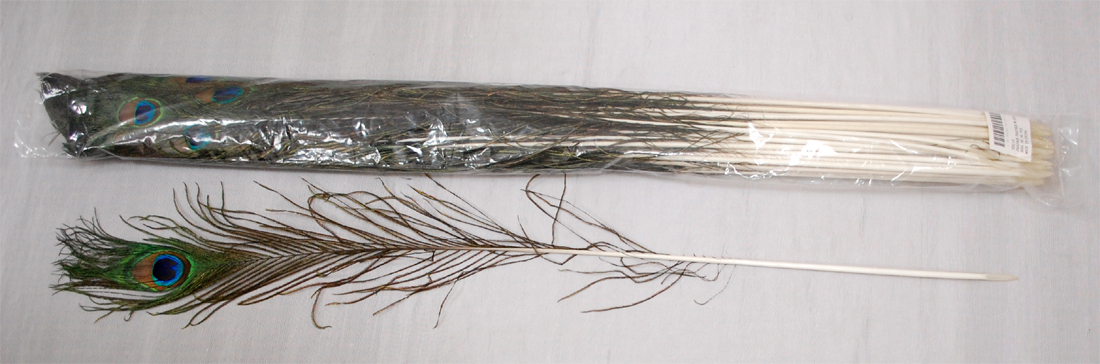 PEACOCK FEATHER;MEDIUM 50PC/BL (YD210/M) 1 PEACOCK FEATHER;MEDIUM 50PC/BL (YD210/M)