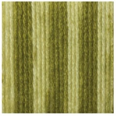 ACR. YARN:141GRx3BL (423GRM) (CARON/OMBRE) - AVOCADO