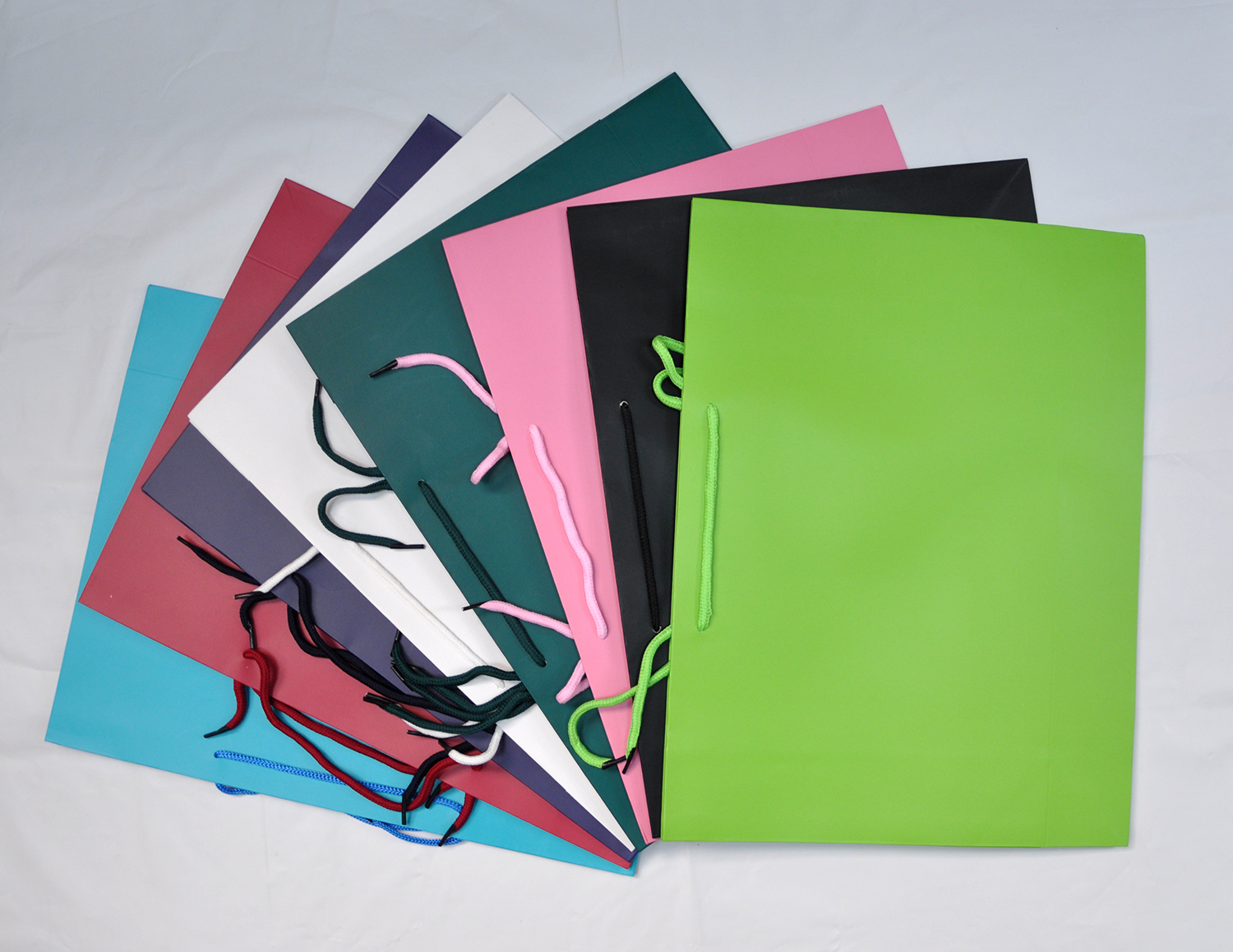 HAND BAG:42*31*12:12PC (A424/6)