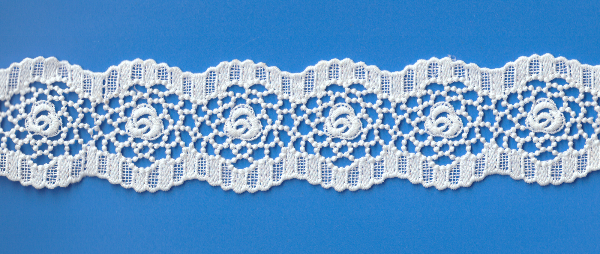 AA4424-WHT (LACE:15Y)