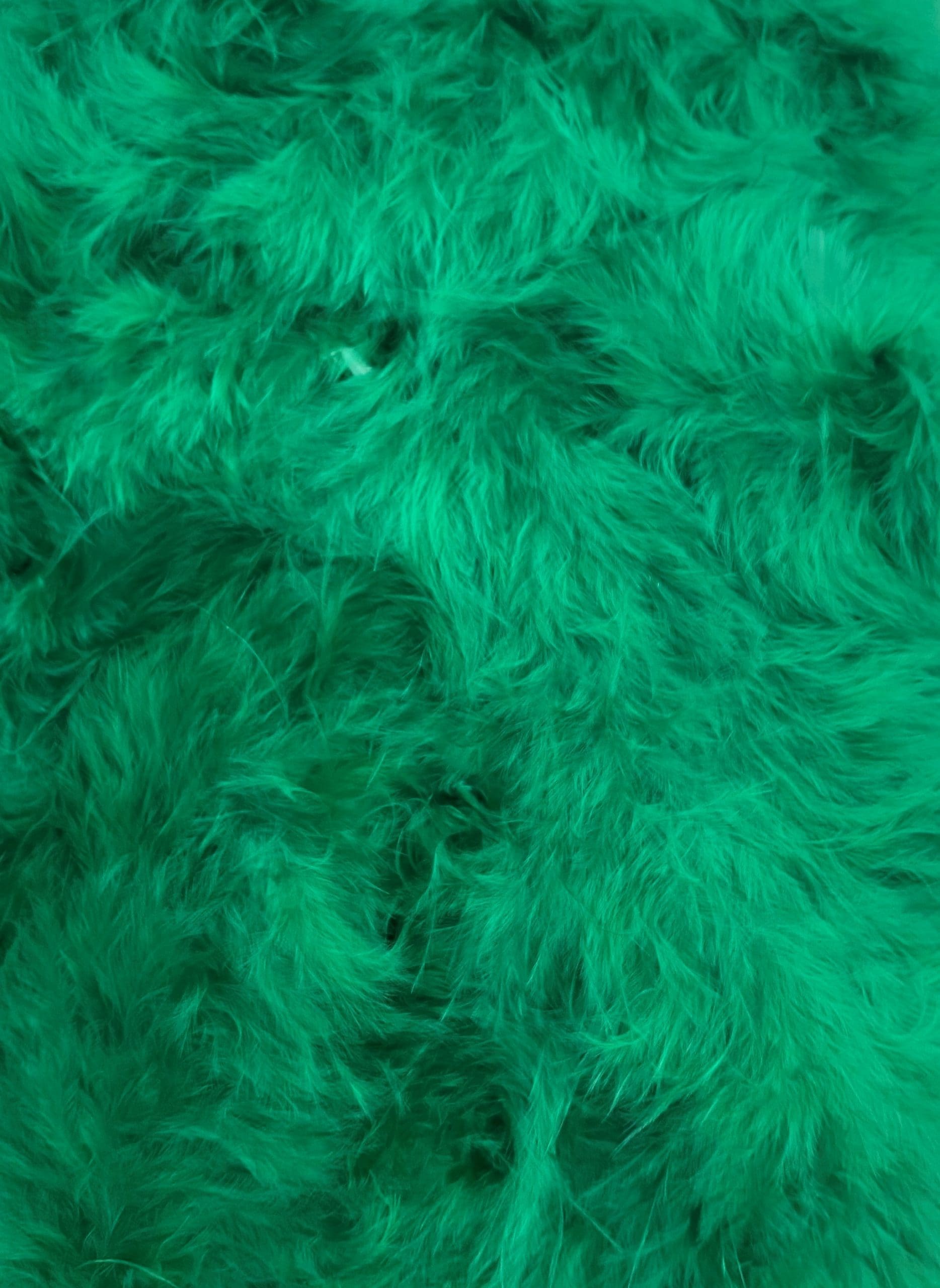 FEATHER TRIMMING;2YX5PC (MCN001) - Green