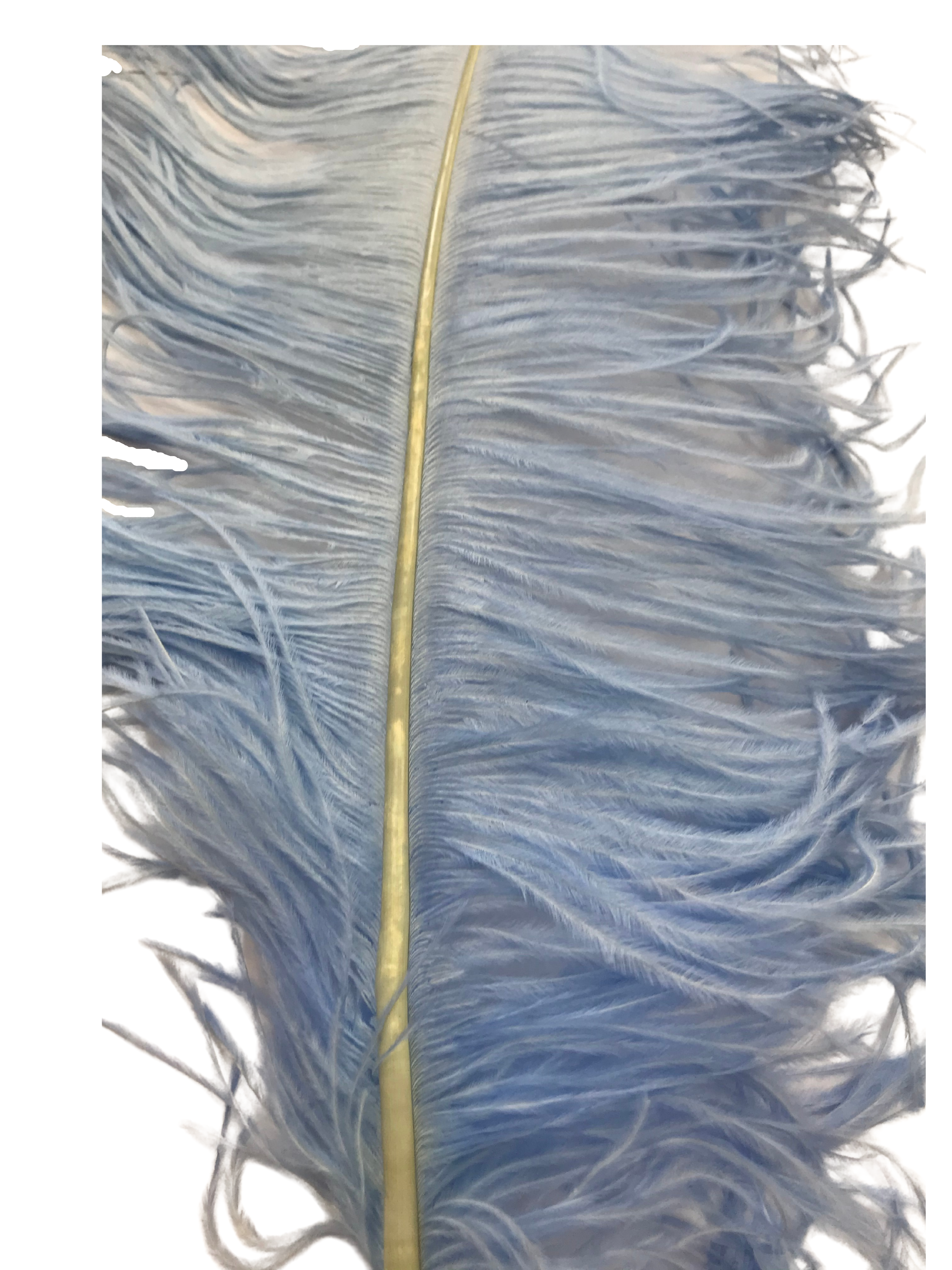 OSTRICH FEATHER:LARGE;5PC/BAG (MCN008L) - BABY BLUE(D04)