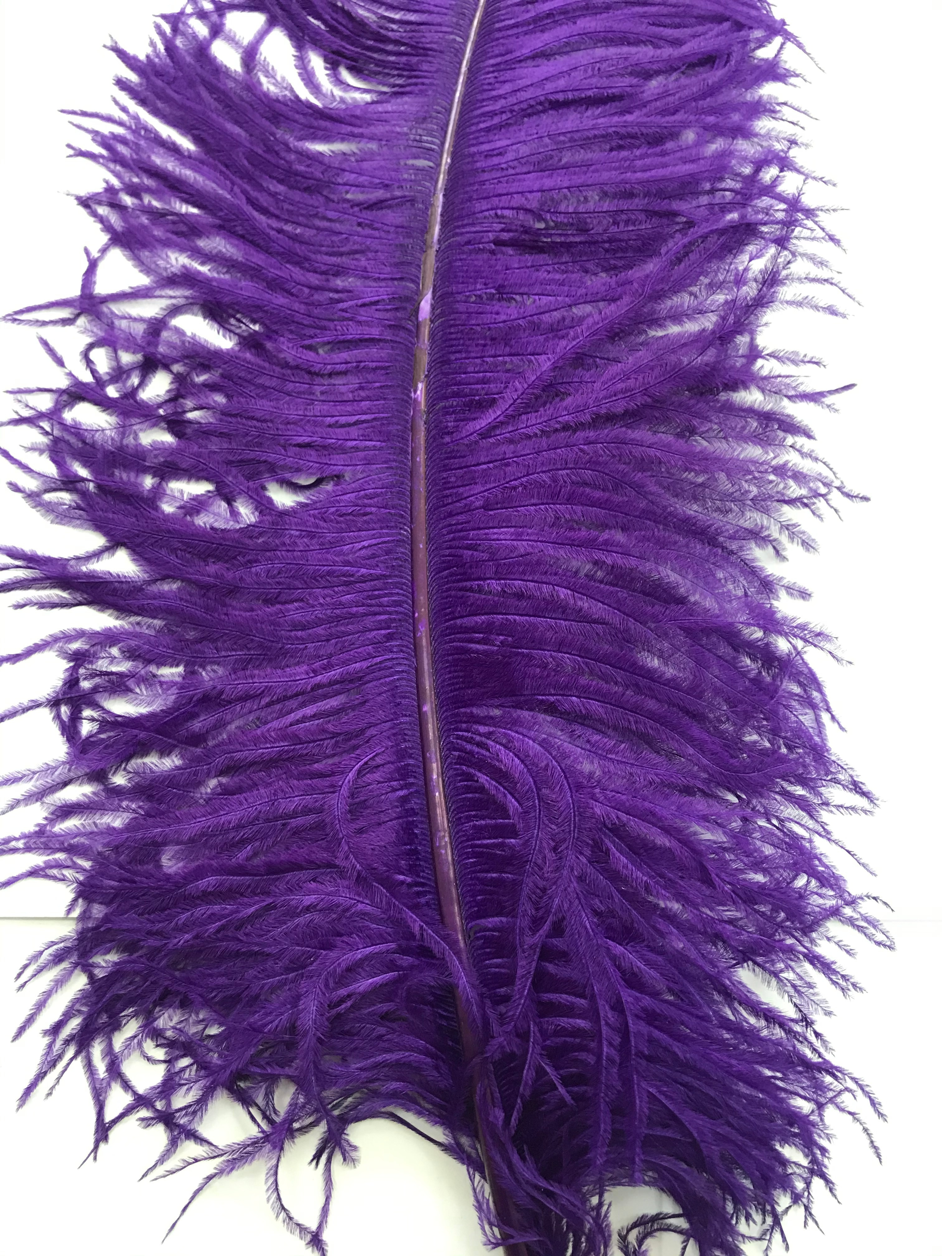 OSTRICH FEATHER:LARGE;5PC/BAG (MCN008L) - PURPLE(J05)