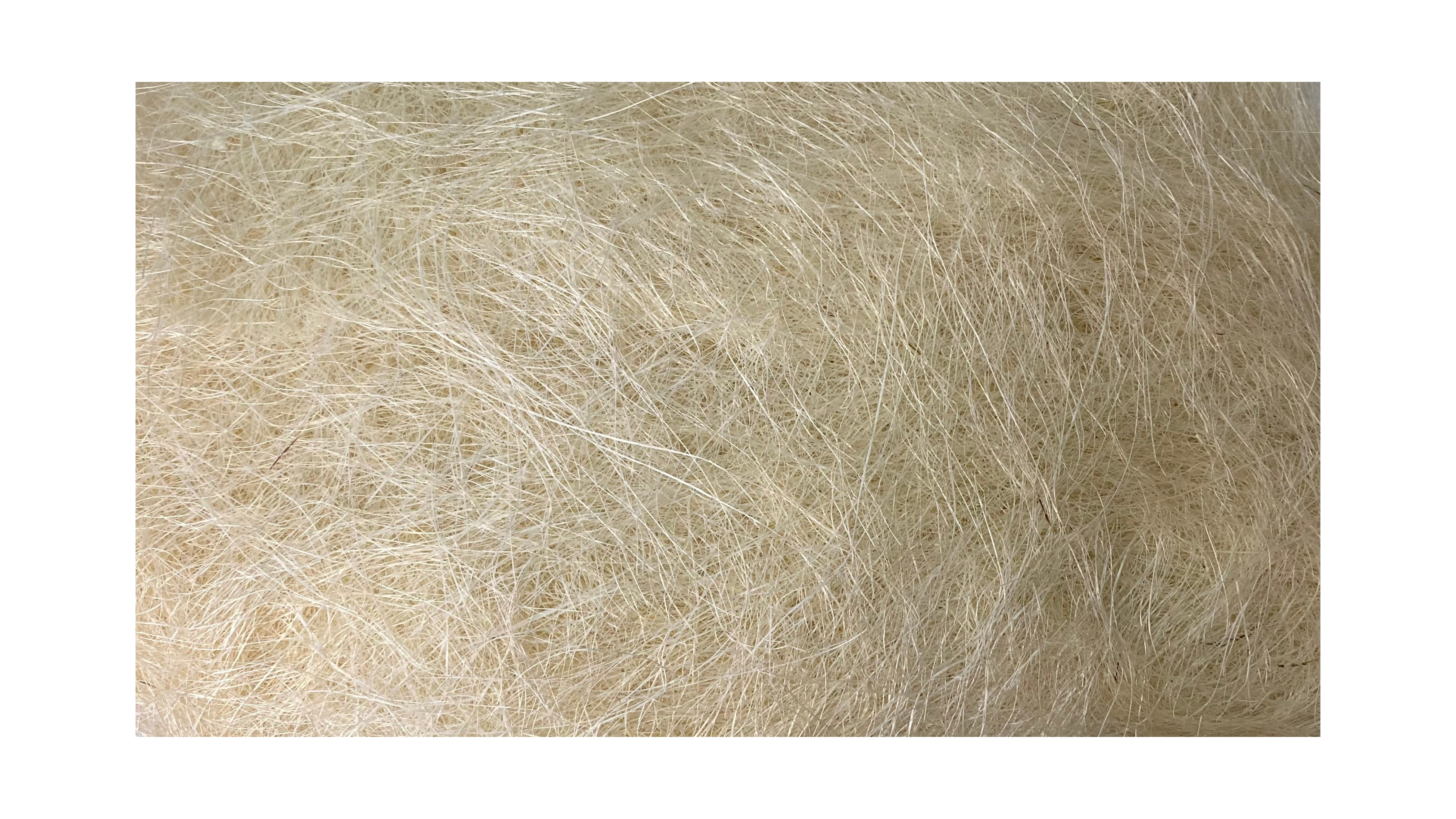 GUMON:250G/PKT (533/3) - White