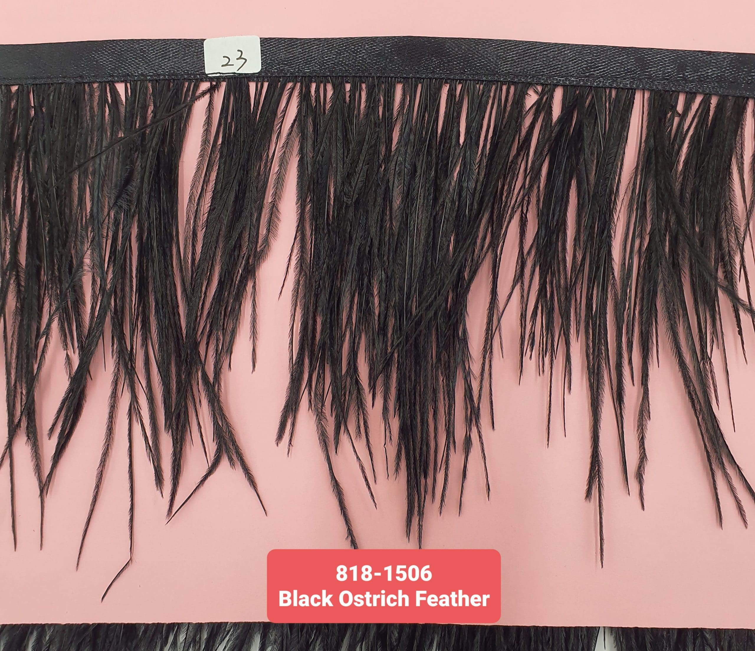 OSTRICH FEATHER TRIMMING:5Y (818-1506) - JET BLACK