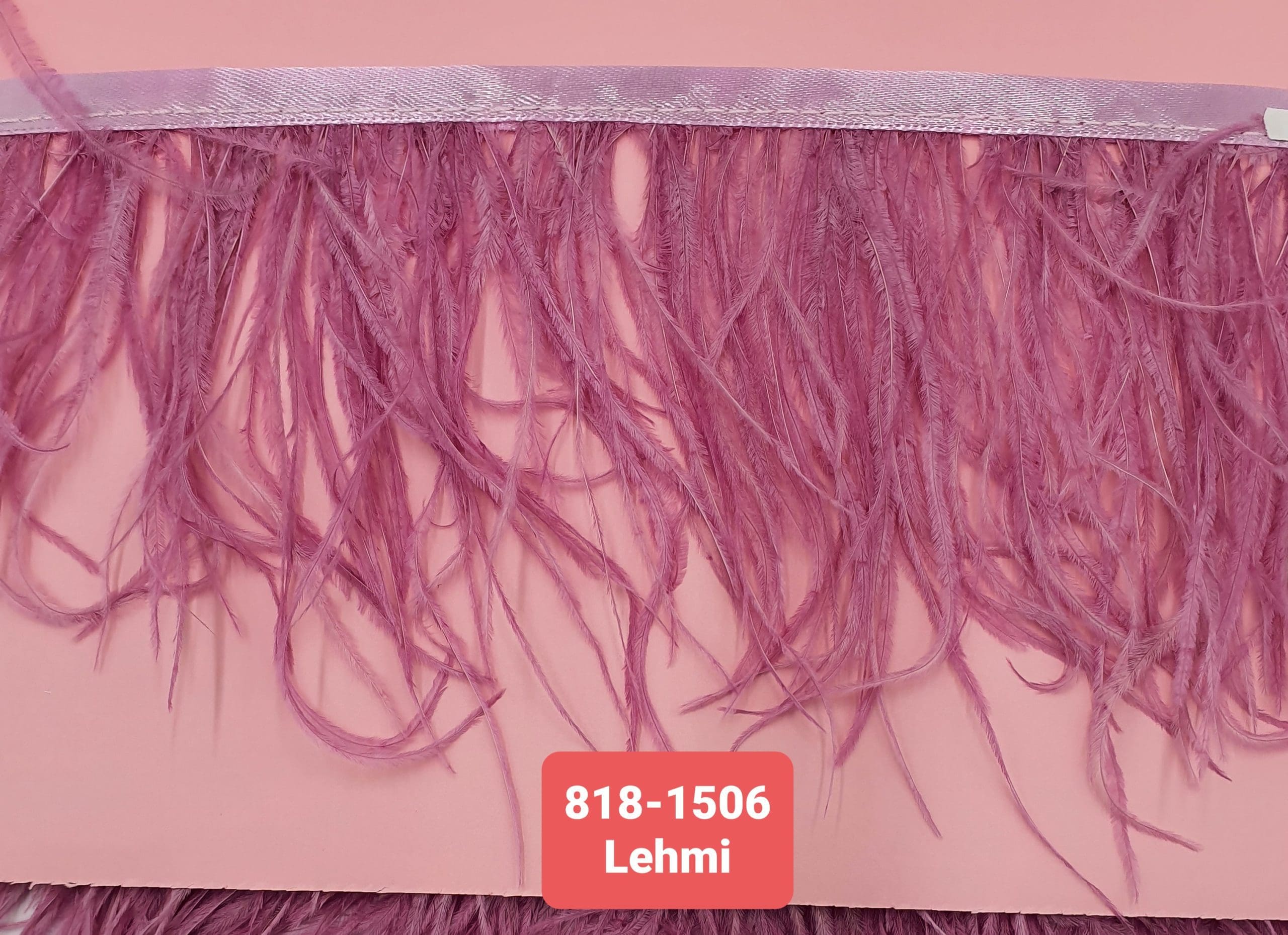 OSTRICH FEATHER TRIMMING:5Y (818-1506) - LEHMI