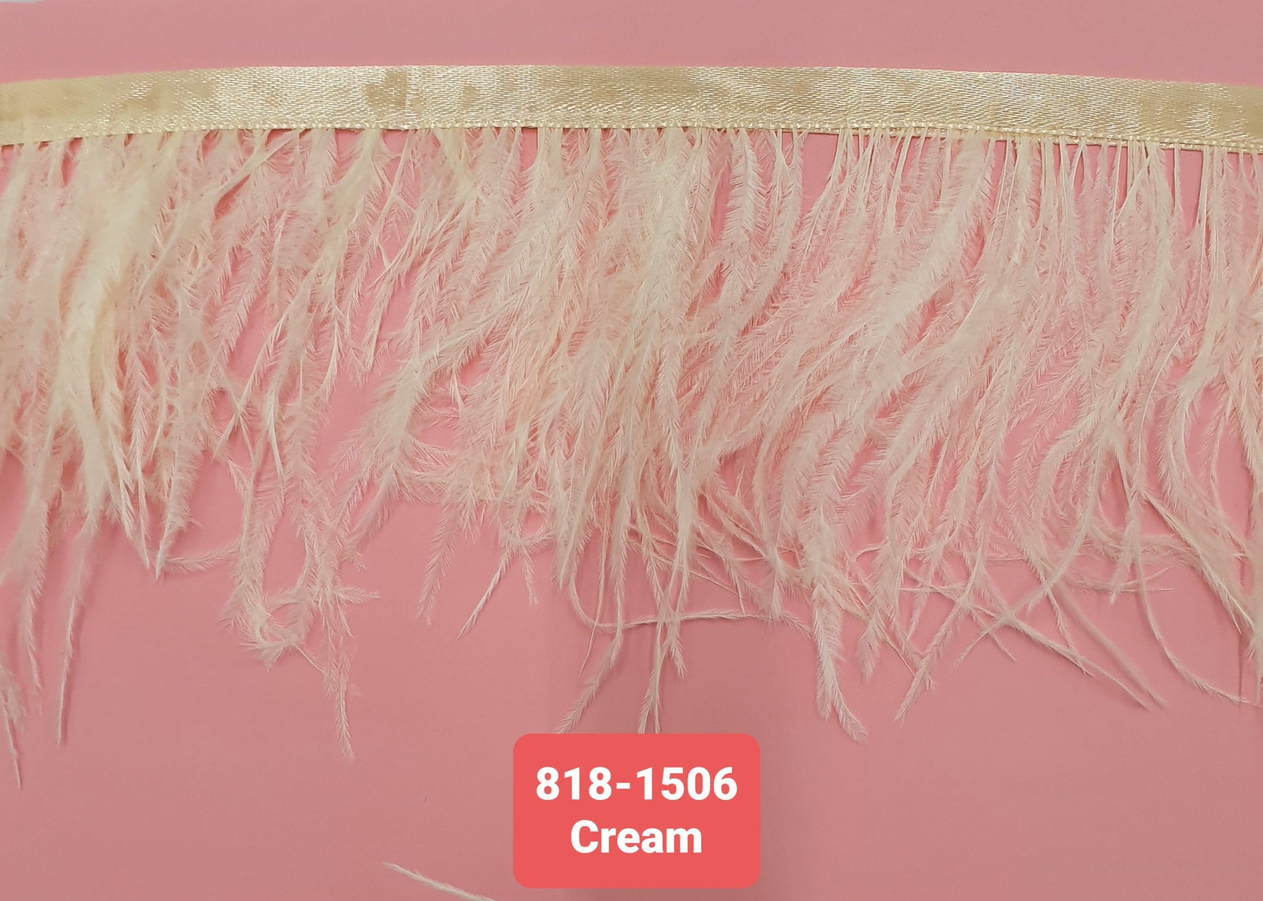 OSTRICH FEATHER TRIMMING:5Y (818-1506) - Cream