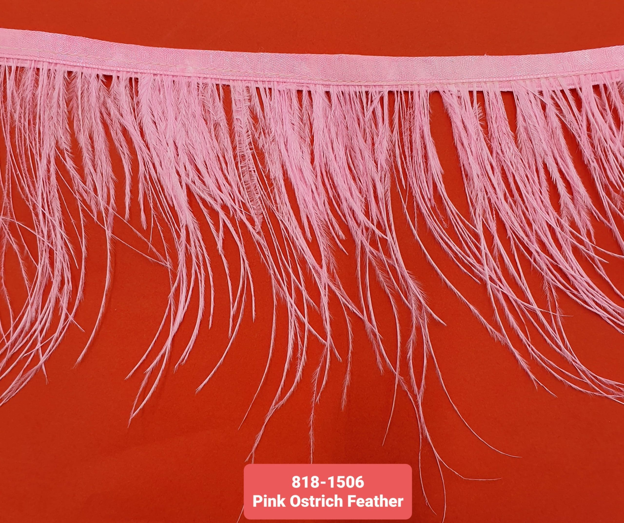 OSTRICH FEATHER TRIMMING:5Y (818-1506) - Pink