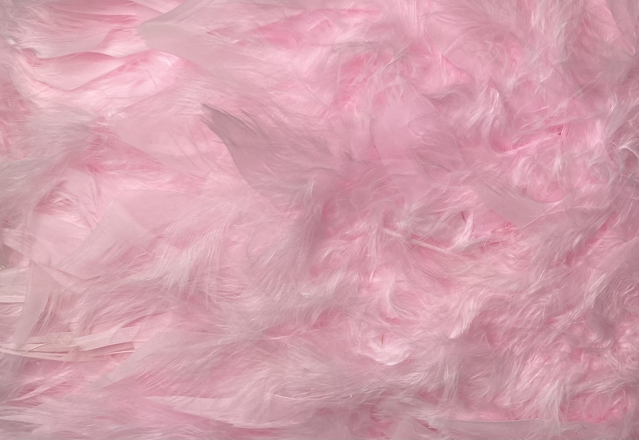 FEATHER TRIMMING;2YD (MCN002) - PINK-J02