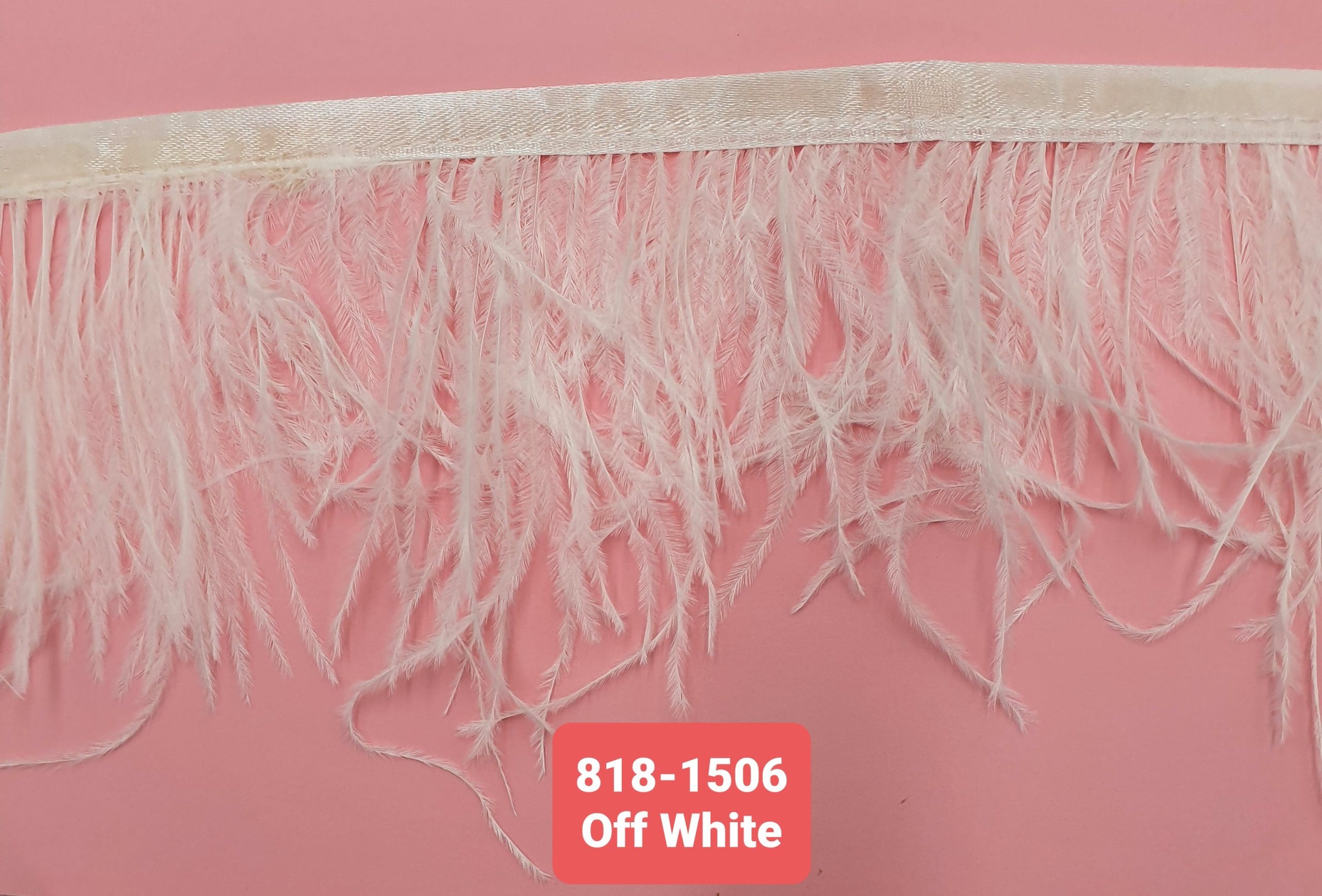 OSTRICH FEATHER TRIMMING:5Y (818-1506) - Off White