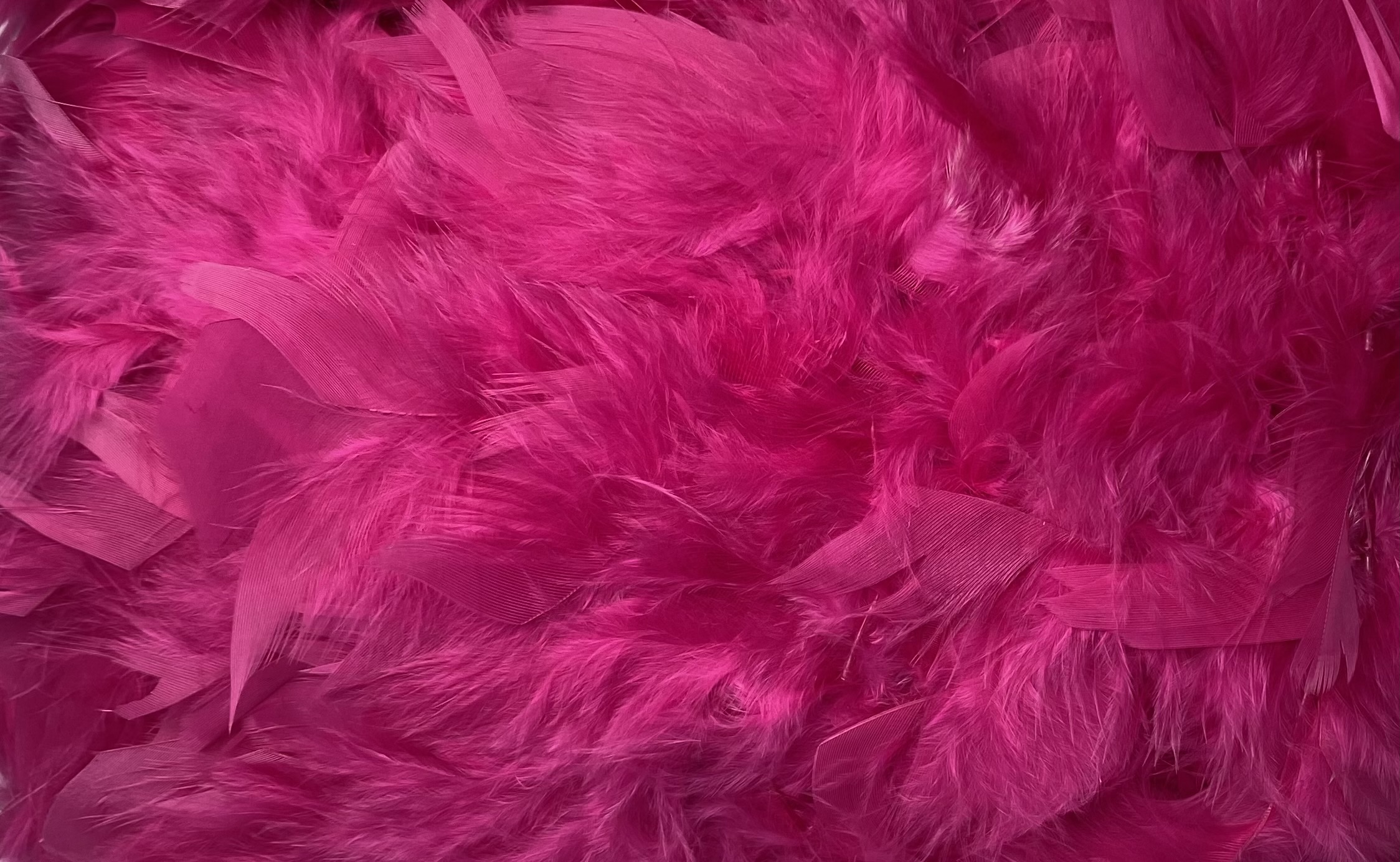 FEATHER TRIMMING;2YD (MCN002) - FUCHSIA(J04)