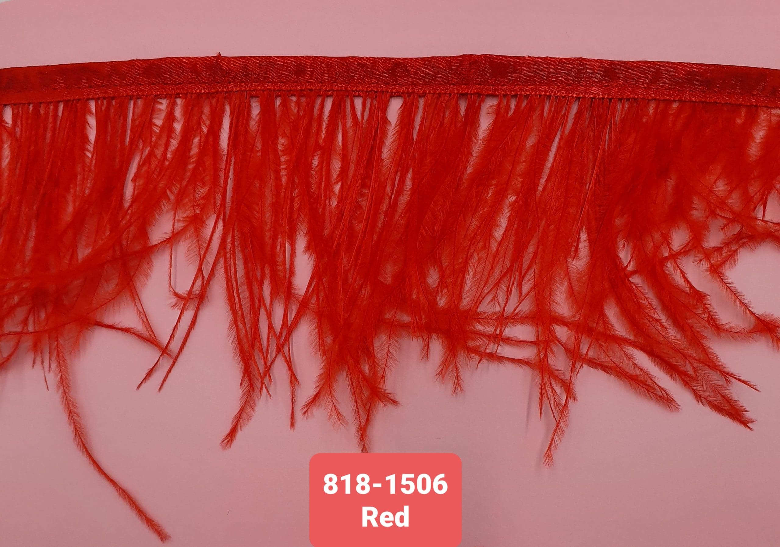 OSTRICH FEATHER TRIMMING:5Y (818-1506) - Red