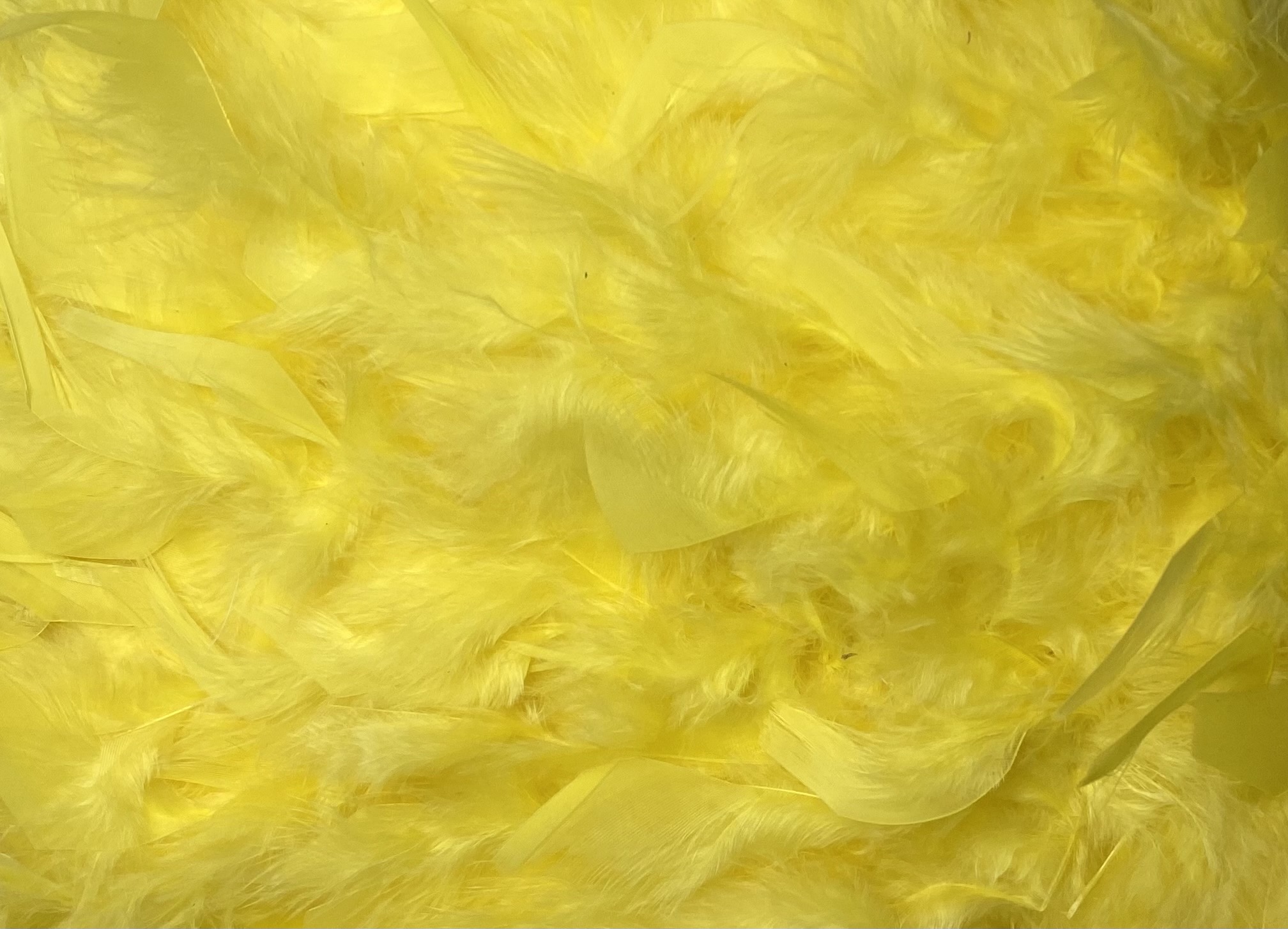 FEATHER TRIMMING;2YD (MCN002) - H 05