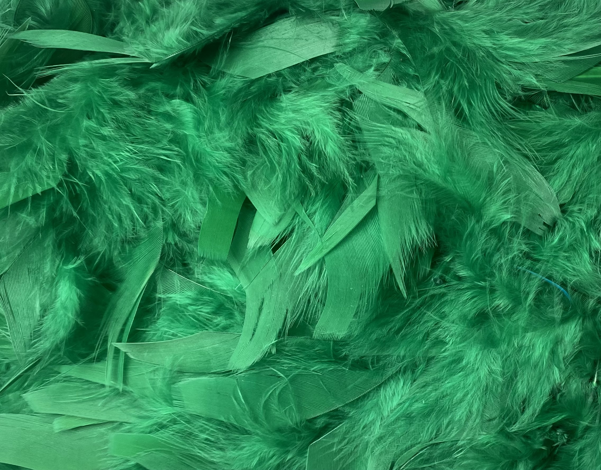 FEATHER TRIMMING;2YD (MCN002) - Green