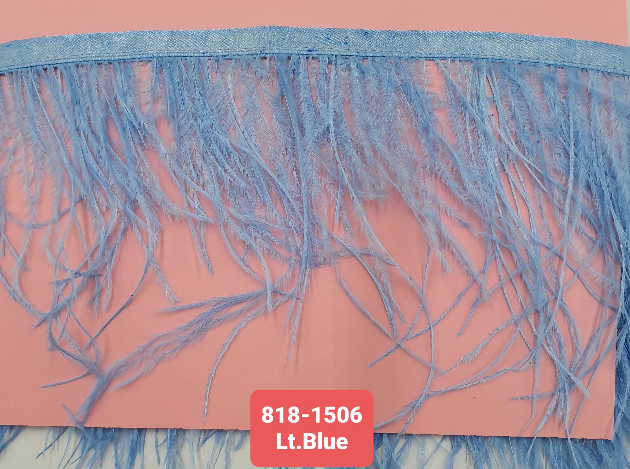 OSTRICH FEATHER TRIMMING:5Y (818-1506) - LT.BLUE