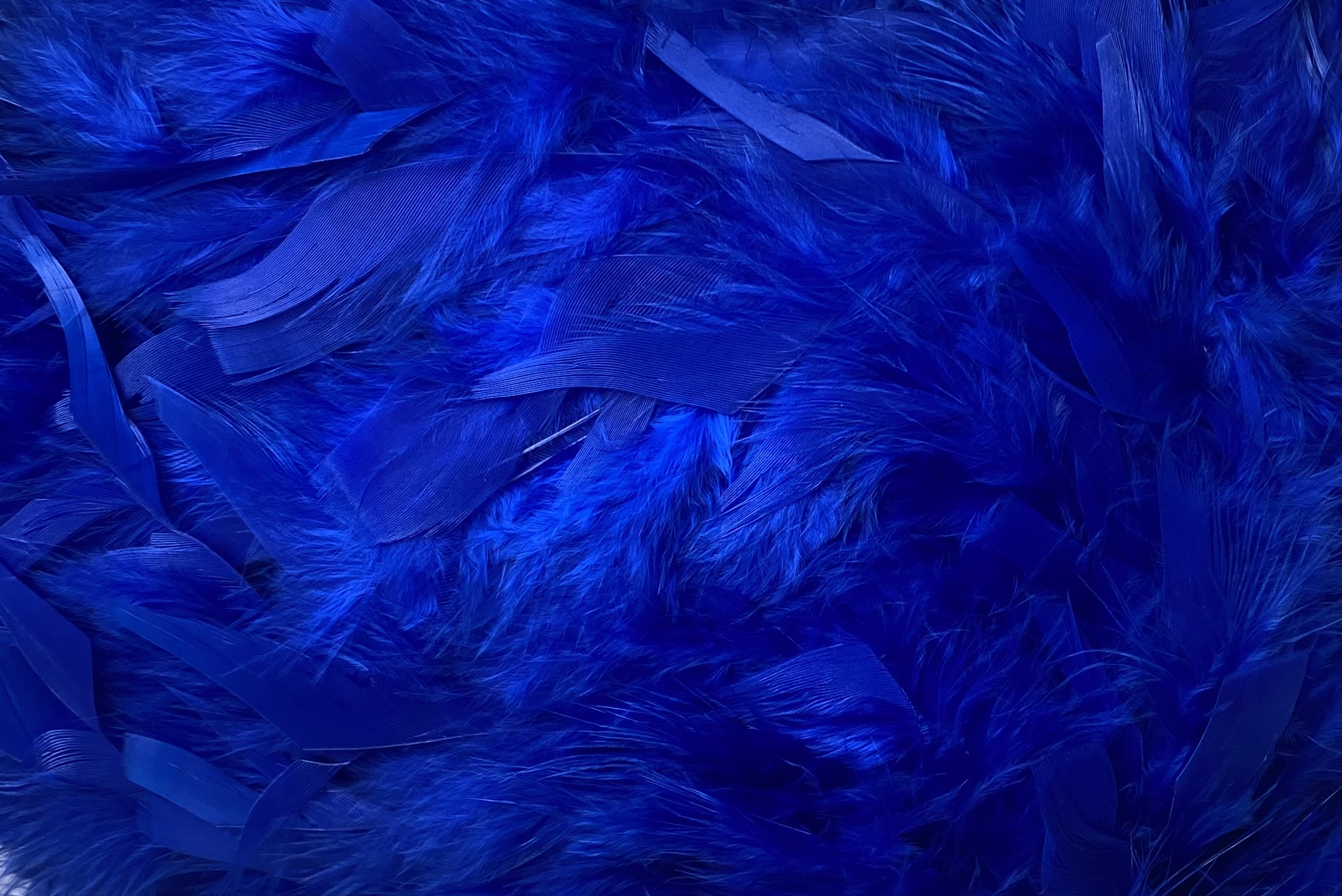 FEATHER TRIMMING;2YD (MCN002) - D09