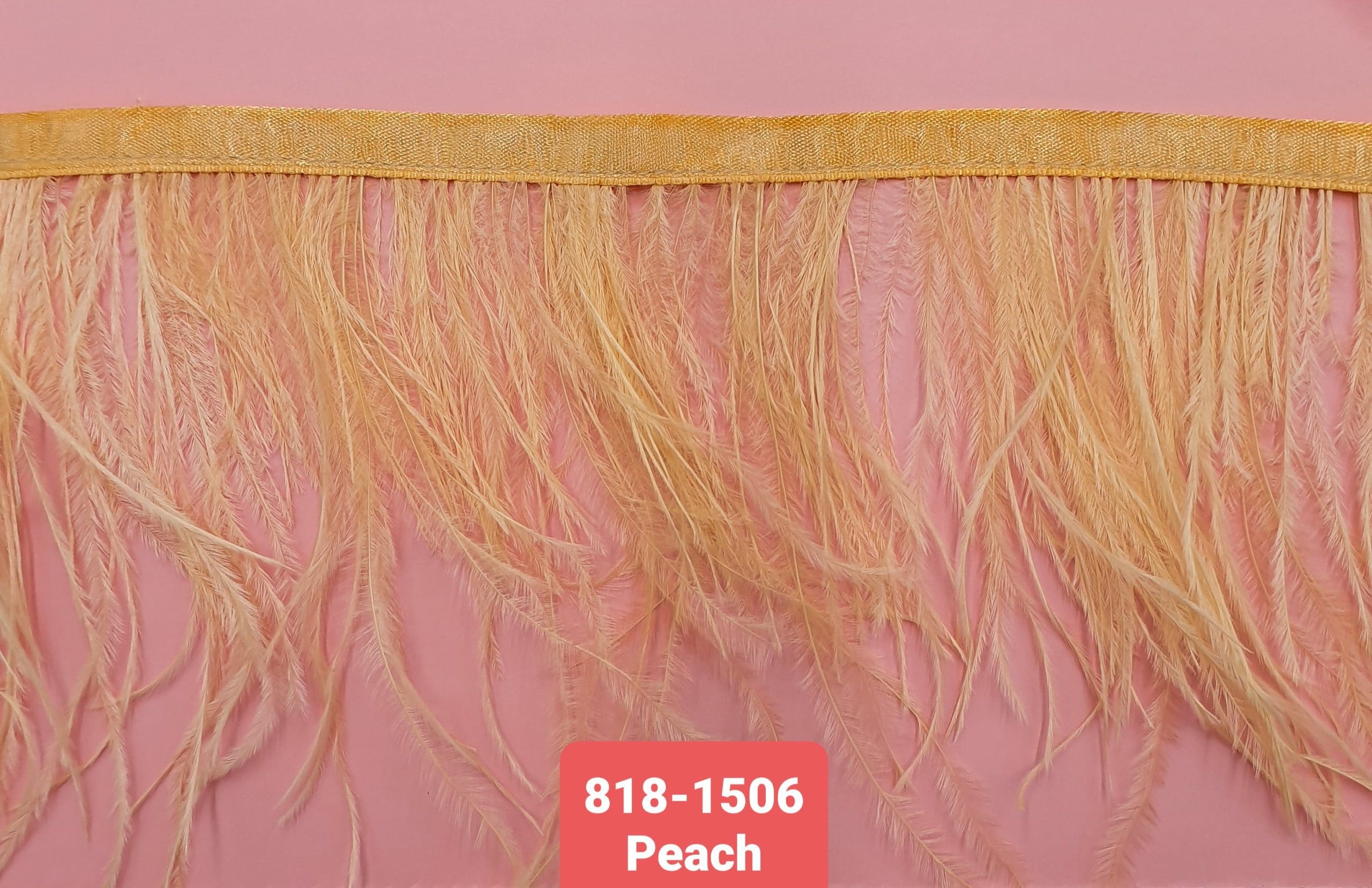 OSTRICH FEATHER TRIMMING:5Y (818-1506) - PEACH