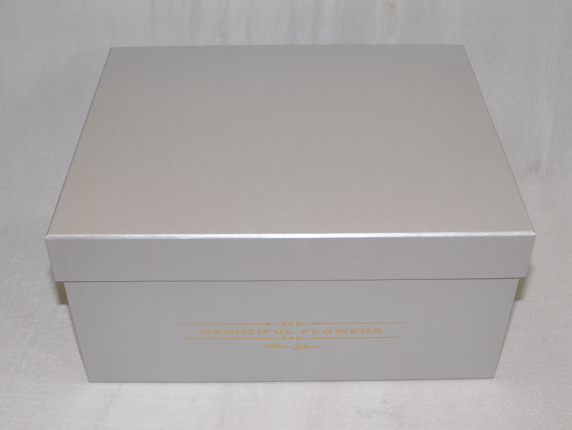 PAPER BOX:S/10(16.2*11.6*7.2) (002/PAPER BOX-10) - SILVER