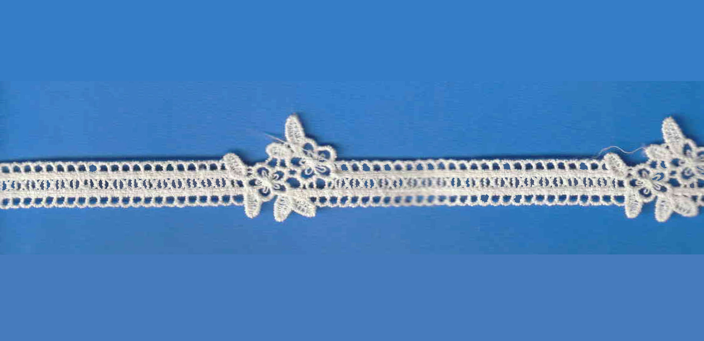 LACE:10YDS (A4629) - Beige