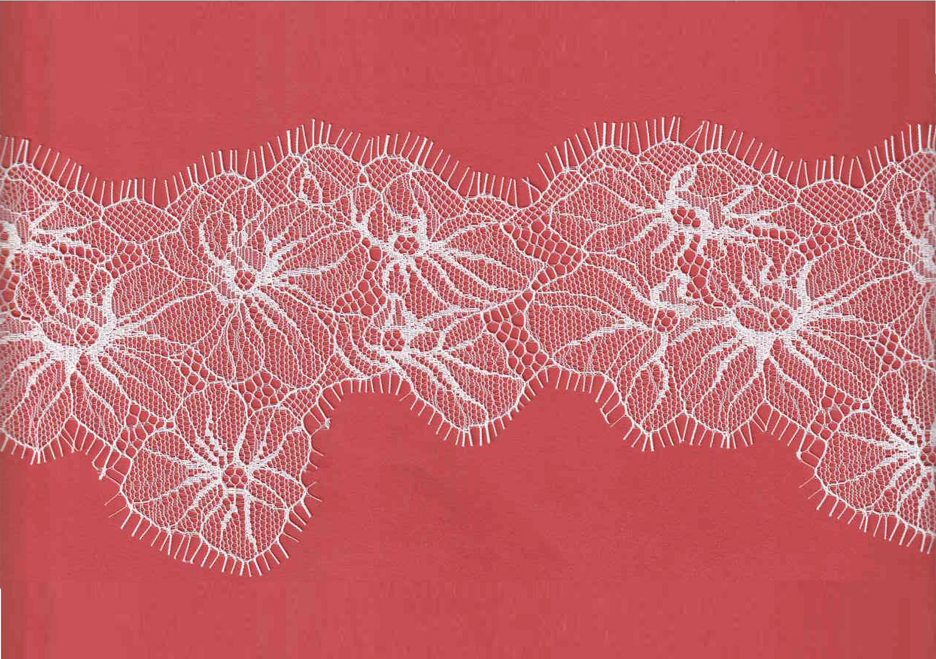 LACE:3YD*5PC(15YD) (B1223) - White