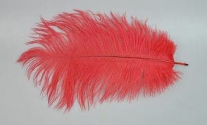 **SMALL FEATHERS:25PC (FAT)