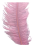 OSTRICH FEATHER:LARGE;5PC/BAG (MCN008L) - BABY PINK(J02)