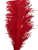 OSTRICH FEATHER:LARGE;5PC/BAG (MCN008L) - RED(F06)